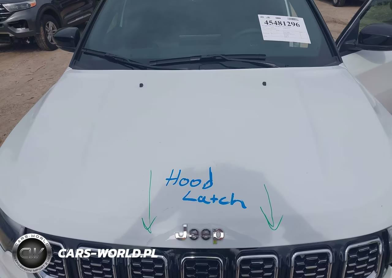 2025 Jeep Compass Limited 4X4 VIN:3C4NJDCNXST534484 - 10