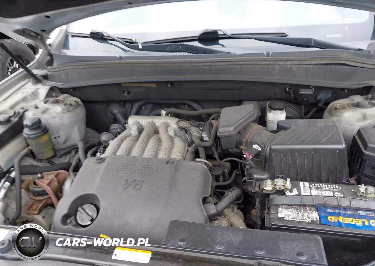 2009 Hyundai Santa Fe Gls VIN:5NMSG13D59H300509 - 10