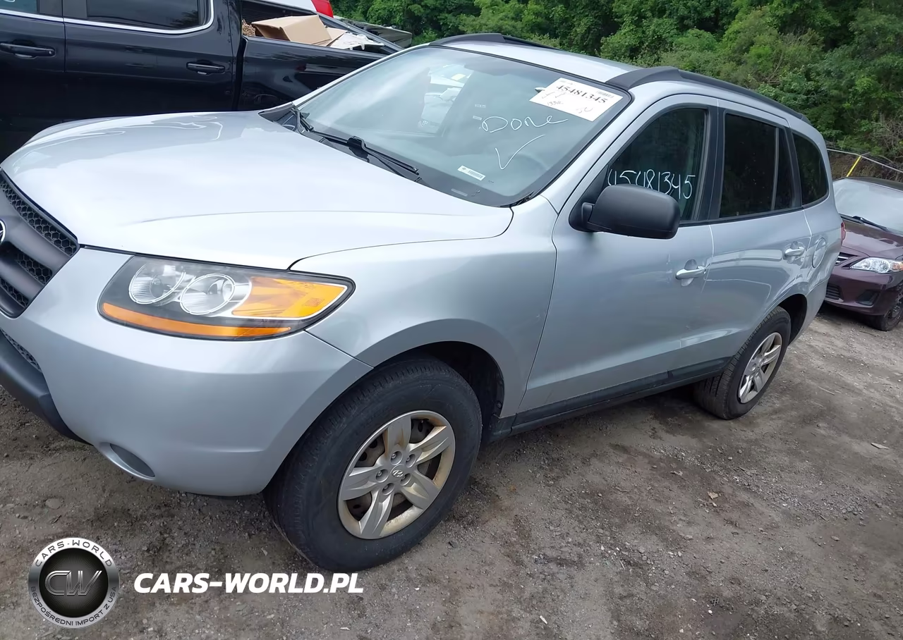 2009 Hyundai Santa Fe Gls VIN:5NMSG13D59H300509 - 2