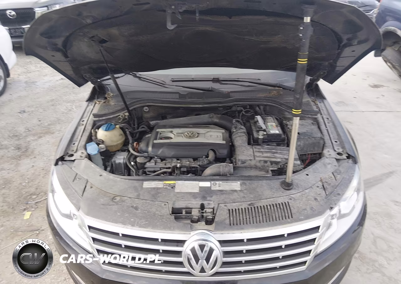 2013 Volkswagen Cc 2.0T Sport VIN:WVWBN7AN9DE564087 - 10