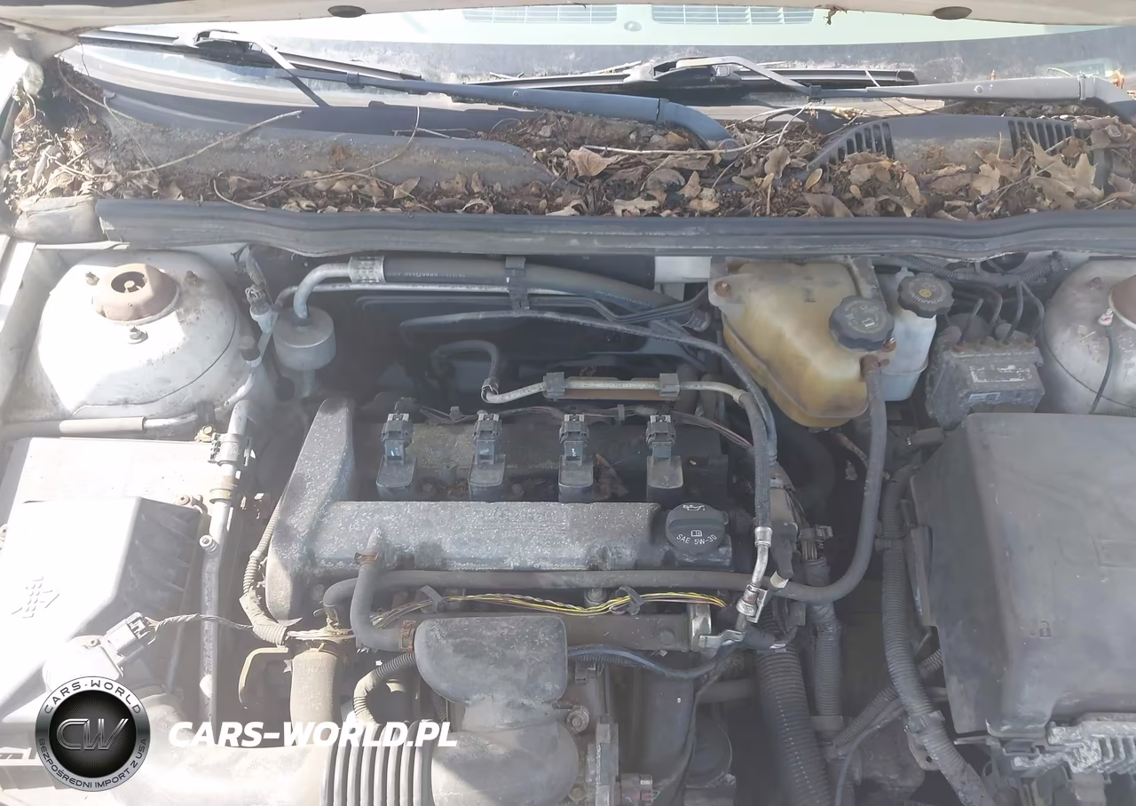 2008 Chevrolet Malibu Classic Ls VIN:1G1ZS58F18F115912 - 10