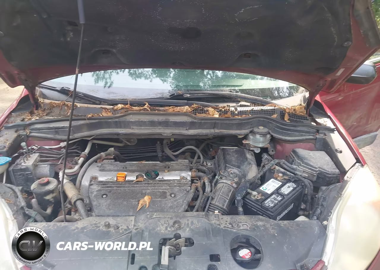 2009 Honda Cr-V Ex VIN:5J6RE48559L020640 - 10