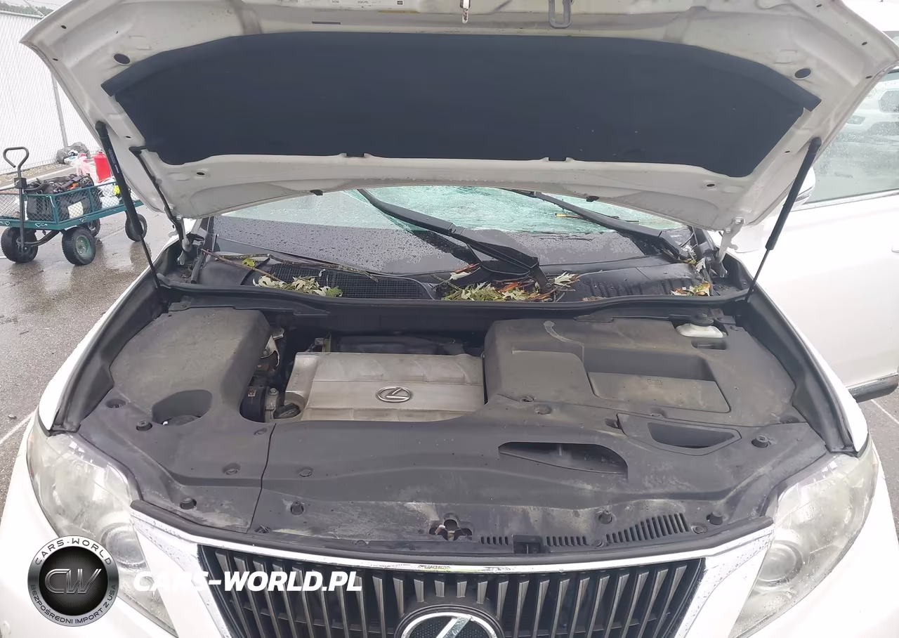 2012 Lexus Rx 350 VIN:2T2BK1BA0CC126010 - 10