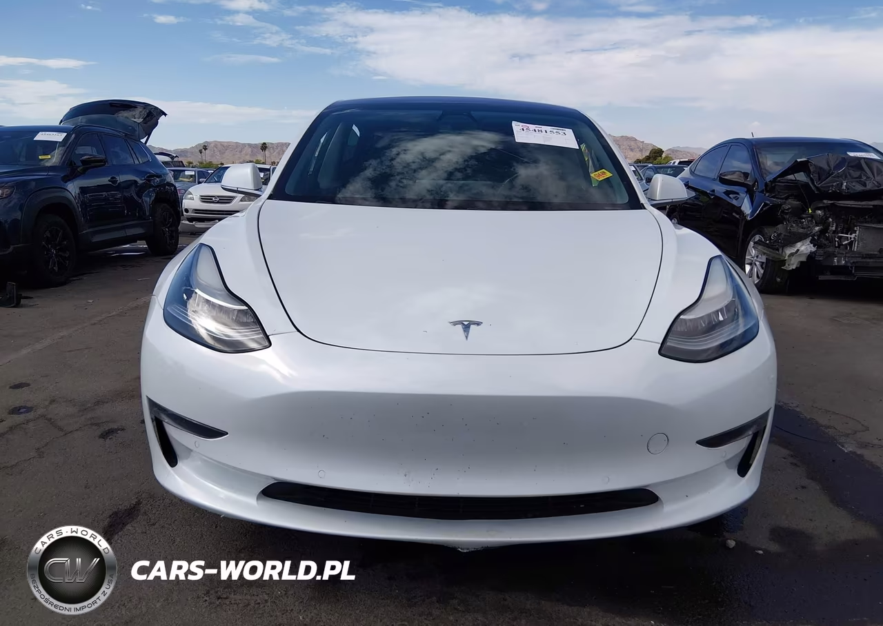 2019 Tesla Model 3 Long Range-Mid Range-Standard Range-Standard Range Plus VIN:5YJ3E1EA2KF301489 - 11