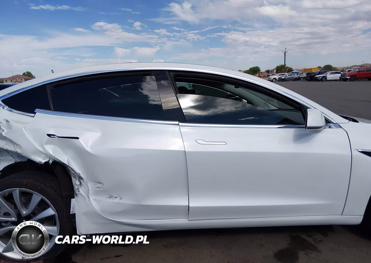 2019 Tesla Model 3 Long Range-Mid Range-Standard Range-Standard Range Plus VIN:5YJ3E1EA2KF301489 - 12