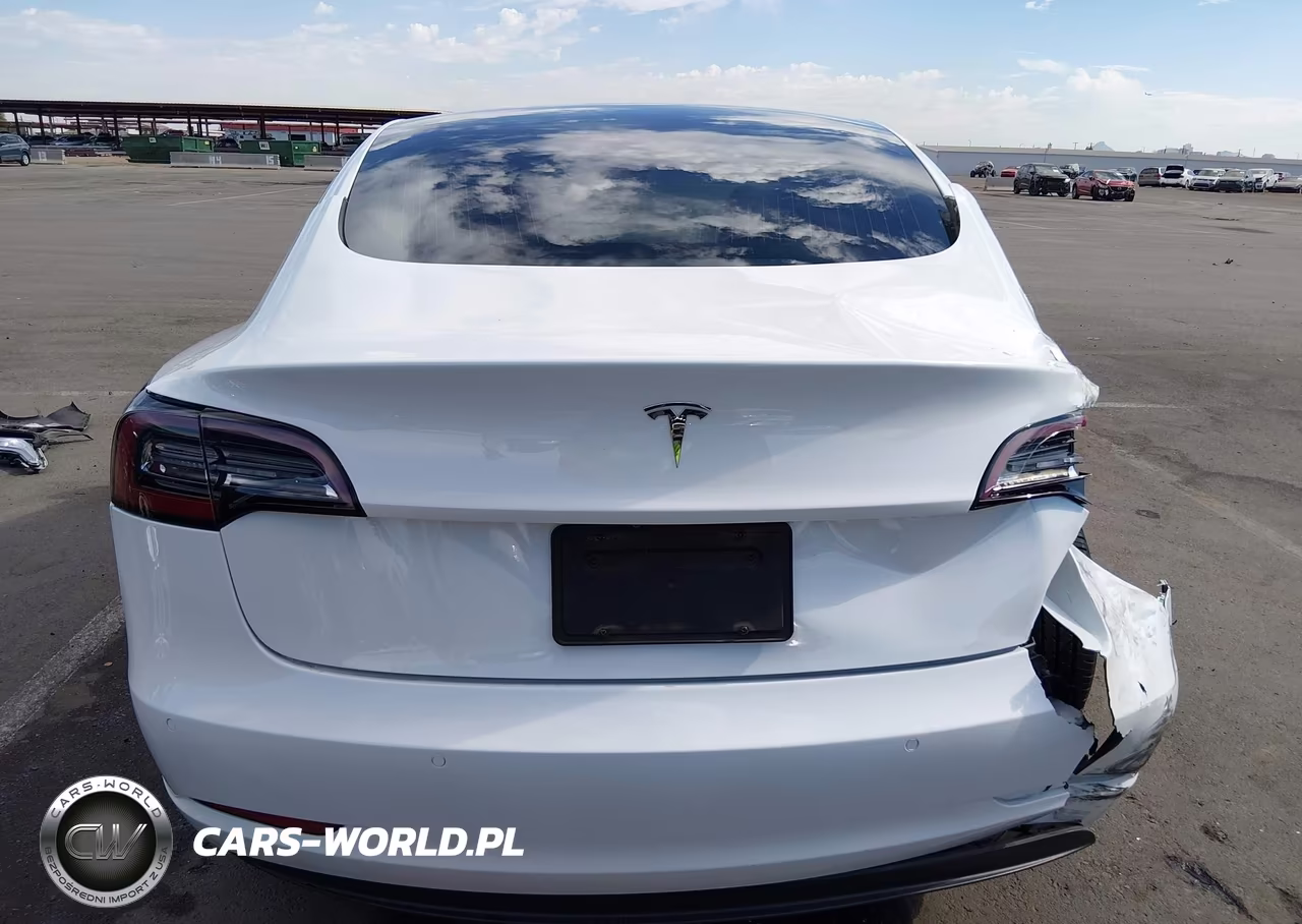 2019 Tesla Model 3 Long Range-Mid Range-Standard Range-Standard Range Plus VIN:5YJ3E1EA2KF301489 - 15