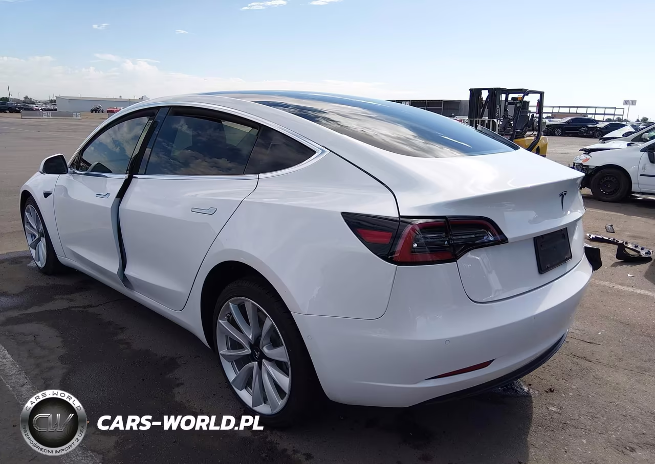 2019 Tesla Model 3 Long Range-Mid Range-Standard Range-Standard Range Plus VIN:5YJ3E1EA2KF301489 - 3