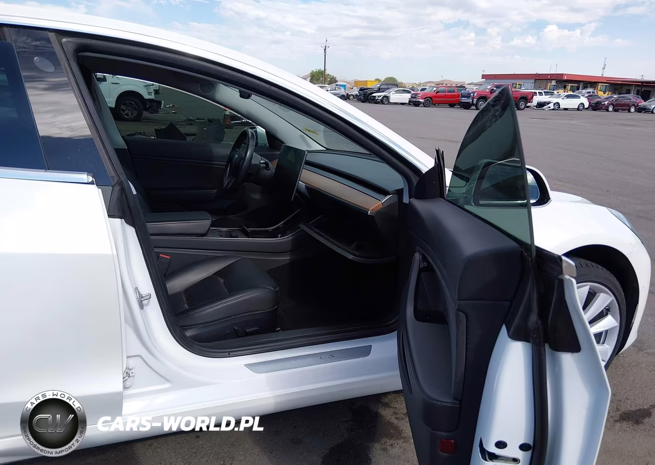 2019 Tesla Model 3 Long Range-Mid Range-Standard Range-Standard Range Plus VIN:5YJ3E1EA2KF301489 - 5