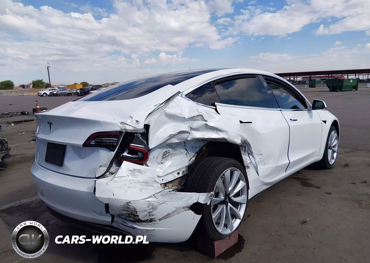 2019 Tesla Model 3 Long Range-Mid Range-Standard Range-Standard Range Plus VIN:5YJ3E1EA2KF301489 - 6