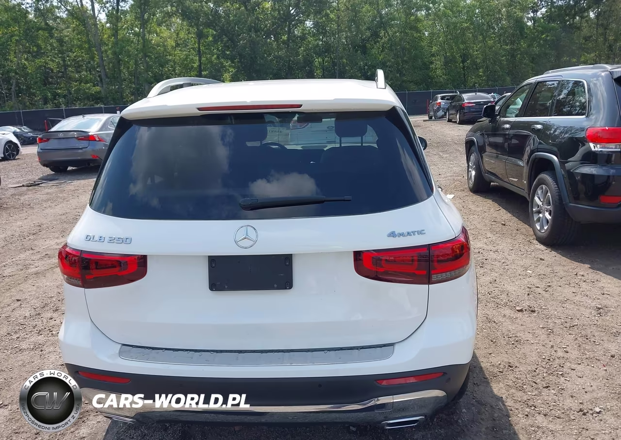 2020 Mercedes-Benz Glb 250 4Matic VIN:W1N4M4HB3LW042059 - 16