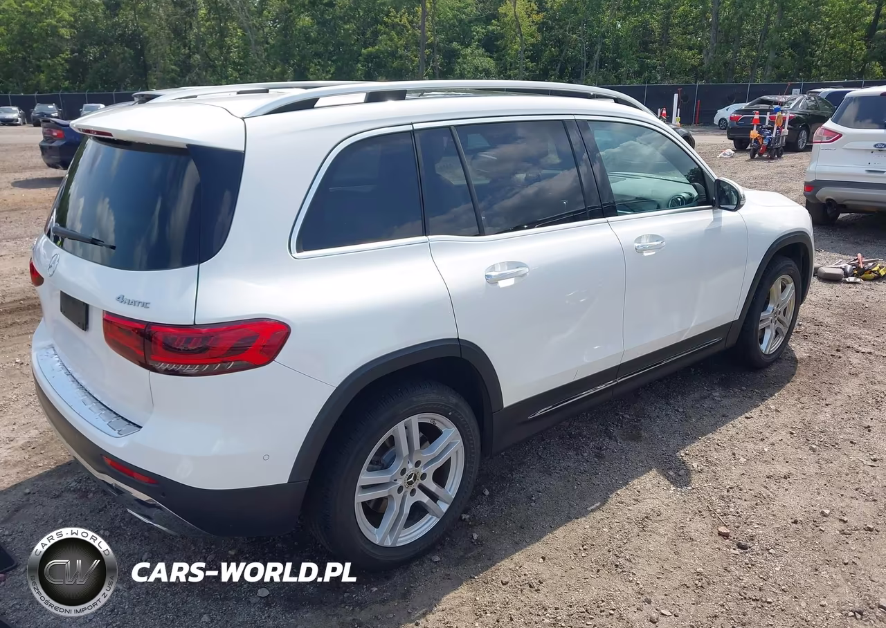 2020 Mercedes-Benz Glb 250 4Matic VIN:W1N4M4HB3LW042059 - 4