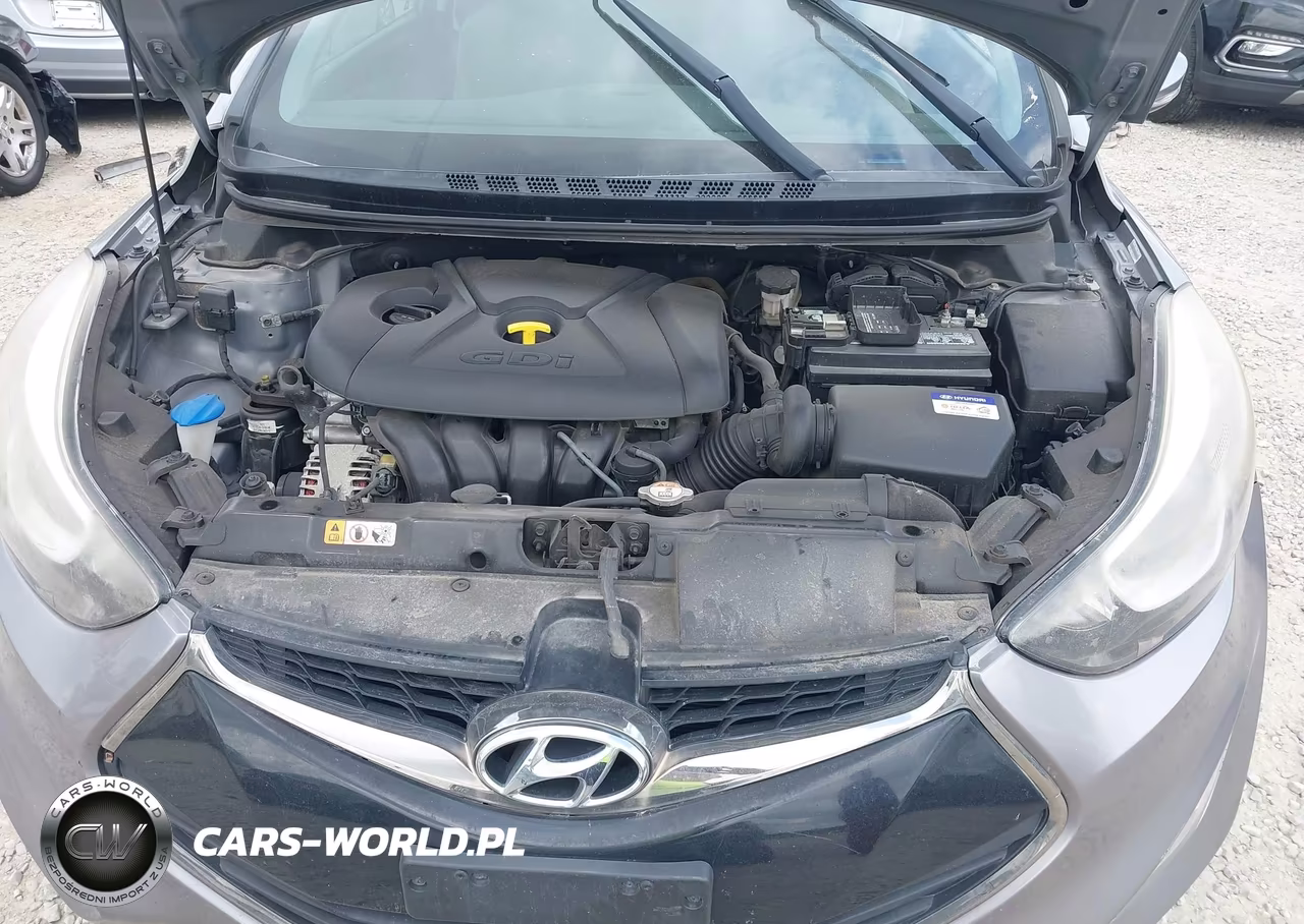 2014 Hyundai Elantra VIN:KMHDH6AH3EU028310 - 10