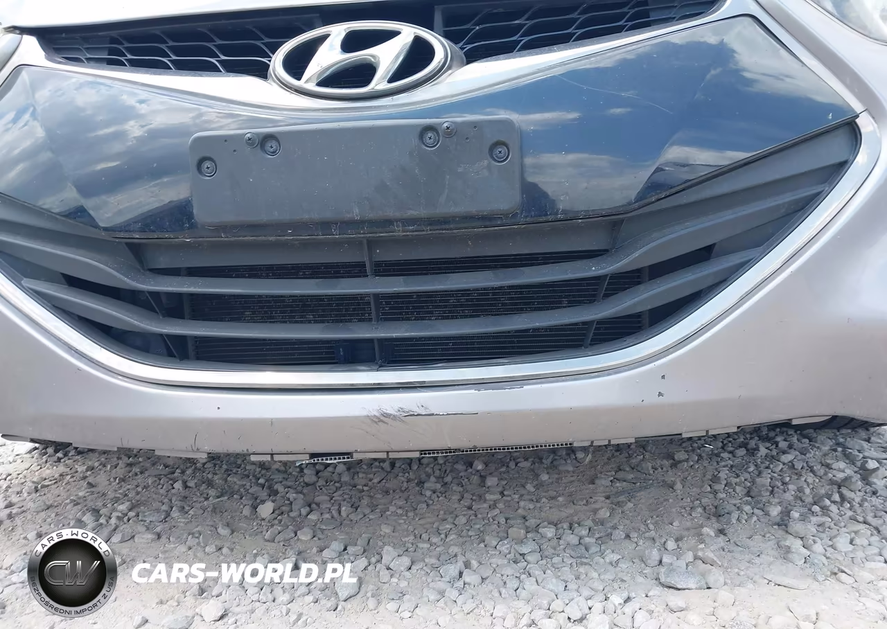 2014 Hyundai Elantra VIN:KMHDH6AH3EU028310 - 17