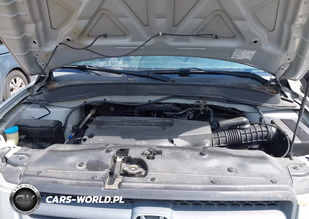 2004 Honda Pilot Ex-L VIN:2HKYF18514H502435 - 10