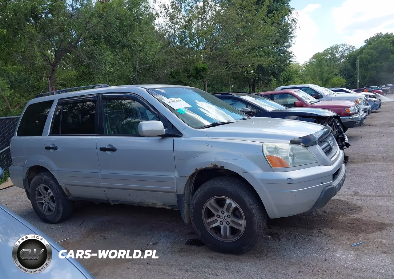 2004 Honda Pilot Ex-L VIN:2HKYF18514H502435 - 14