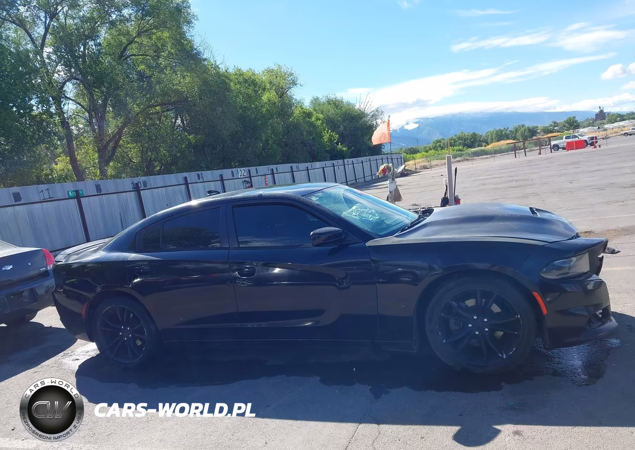 2016 Dodge Charger Road-Track VIN:2C3CDXCT8GH146589 - 14