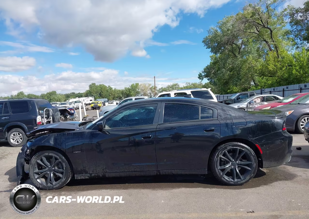 2016 Dodge Charger Road-Track VIN:2C3CDXCT8GH146589 - 15