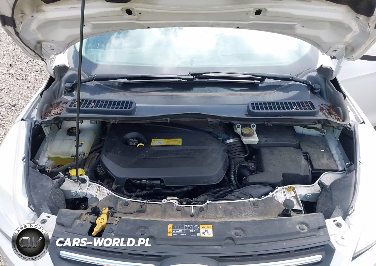2013 Ford Escape Se VIN:1FMCU9GX4DUB79307 - 10
