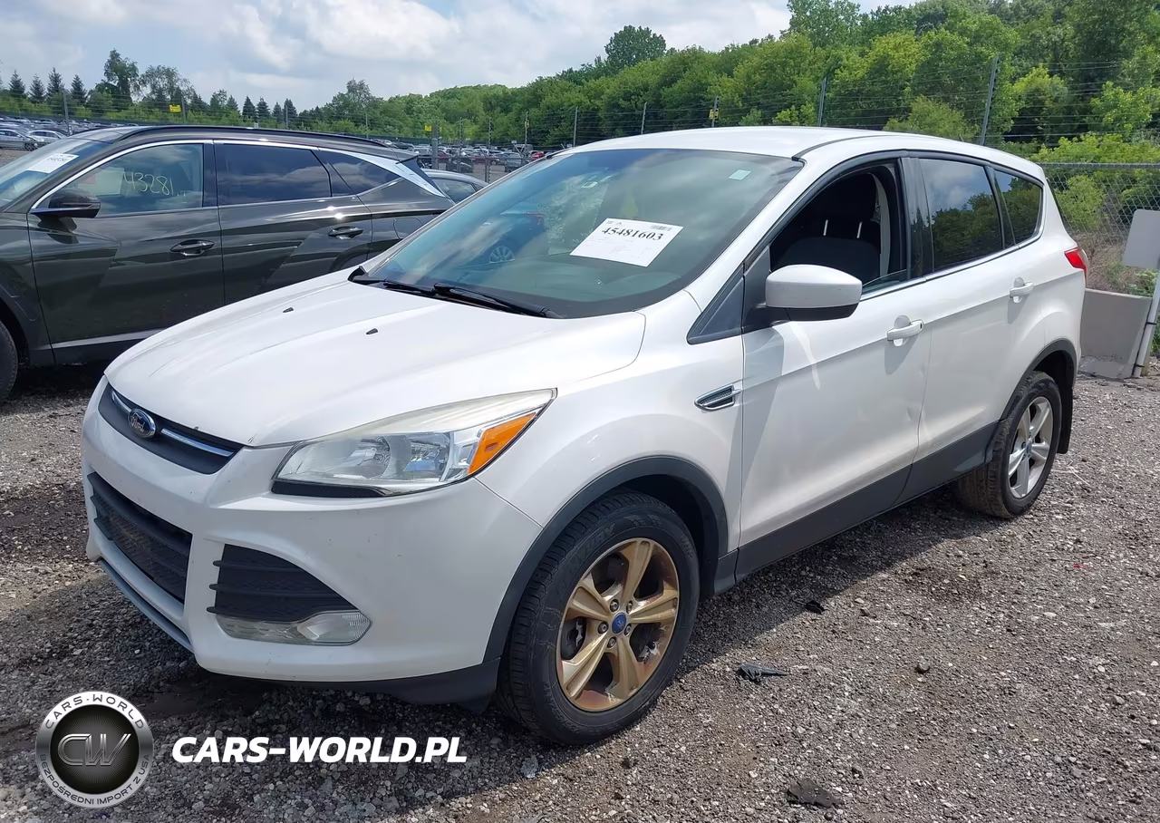 2013 Ford Escape Se VIN:1FMCU9GX4DUB79307 - 2
