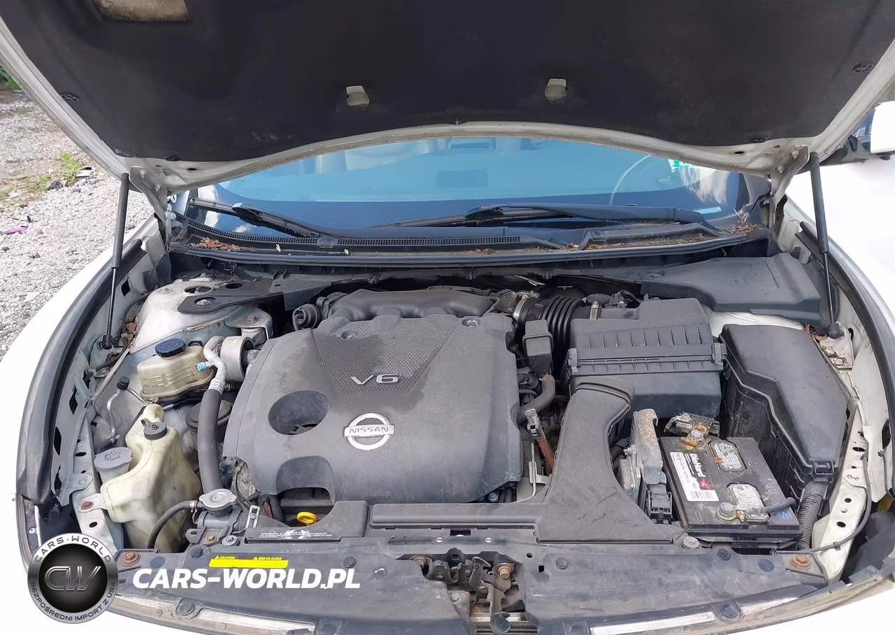 2010 Nissan Maxima 3.5 Sv VIN:1N4AA5AP2AC874687 - 10
