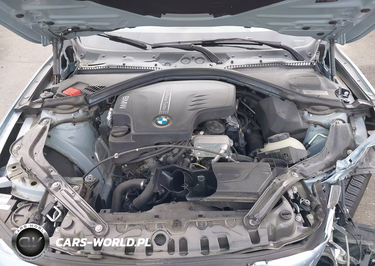 2015 BMW 428I VIN:WBA3V5C50FP751647 - 10