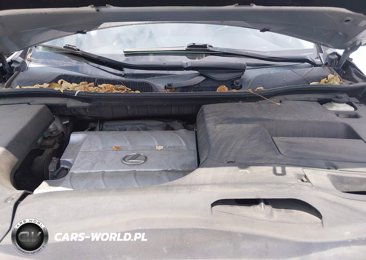 2015 Lexus Rx 350 VIN:2T2BK1BA9FC339669 - 10