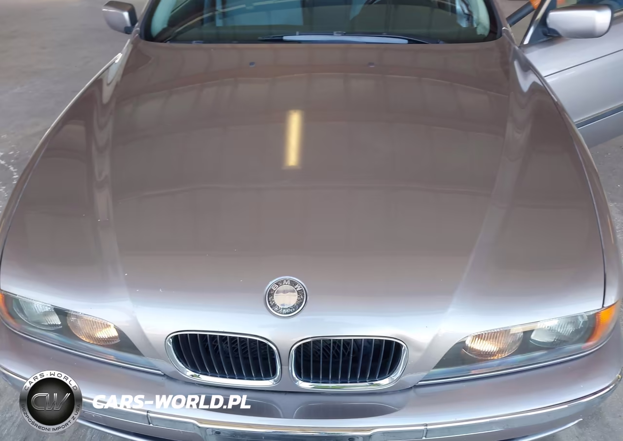 1999 BMW 528Ia VIN:WBADM634XXGU02713 - 6