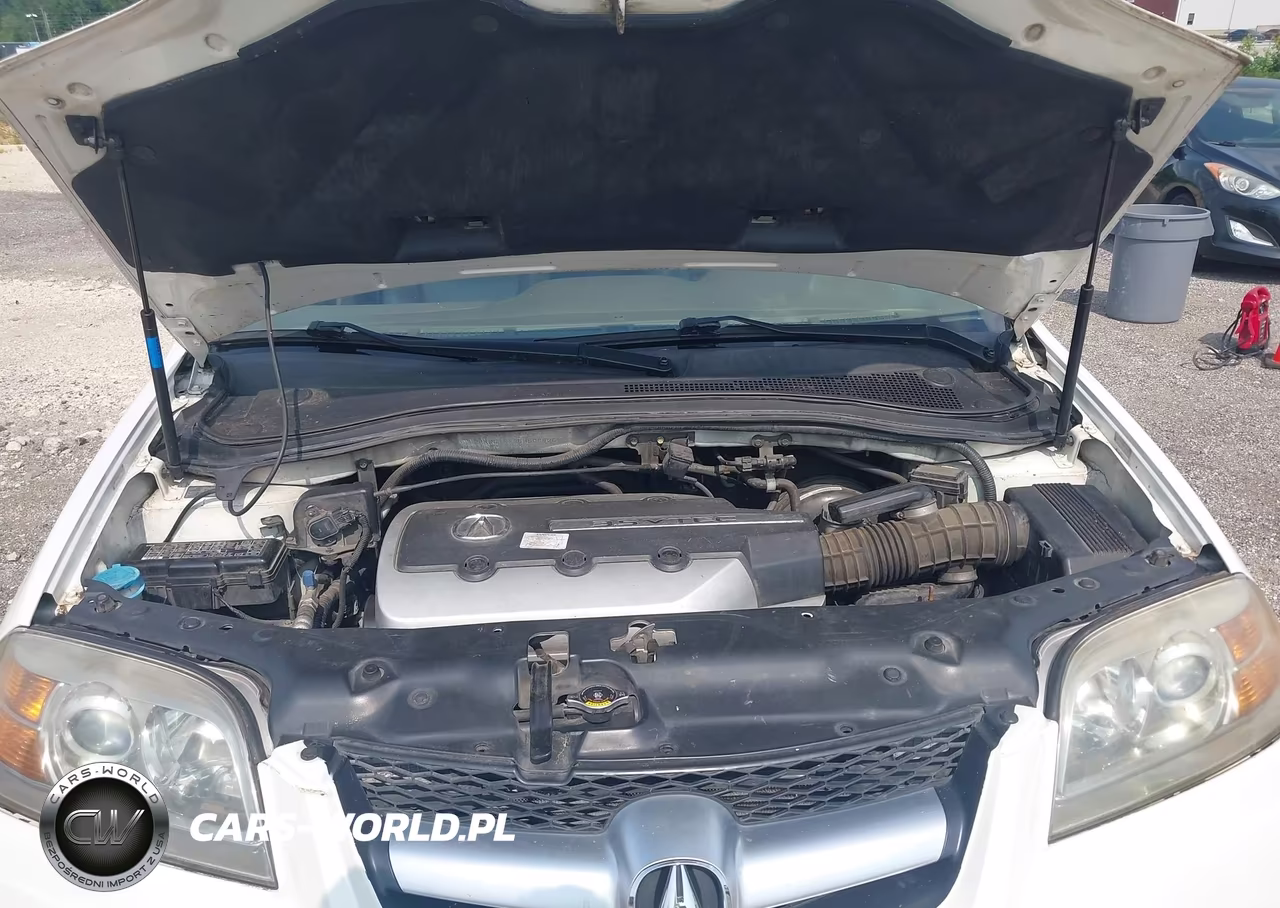 2005 Acura Mdx VIN:2HNYD18995H506925 - 10