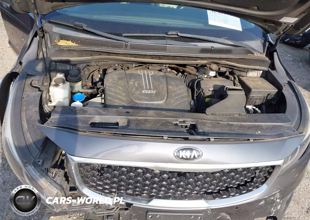 2017 Kia Sedona Lx VIN:KNDMB5C19H6333089 - 10