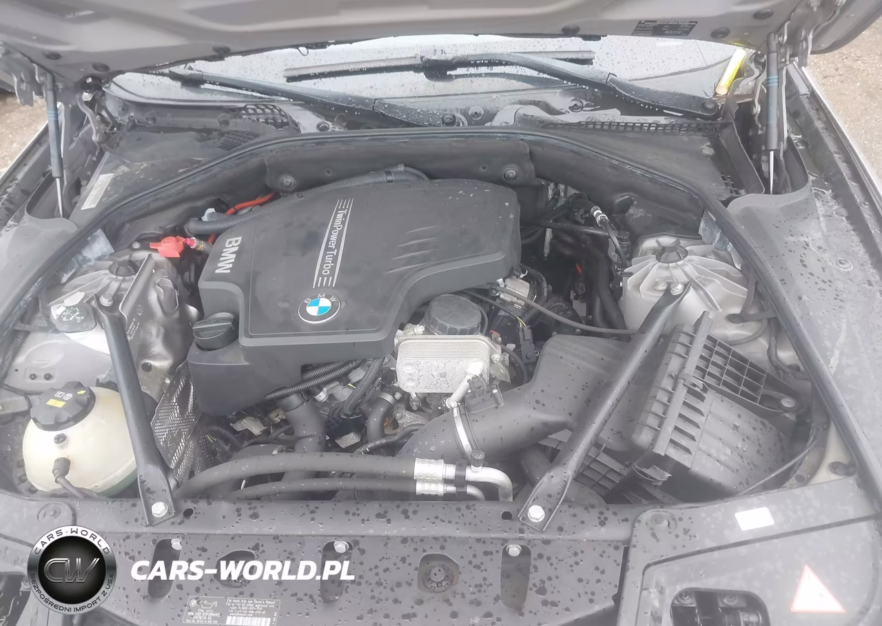 2014 BMW 528I xDrive VIN:WBA5A7C5XED617132 - 10