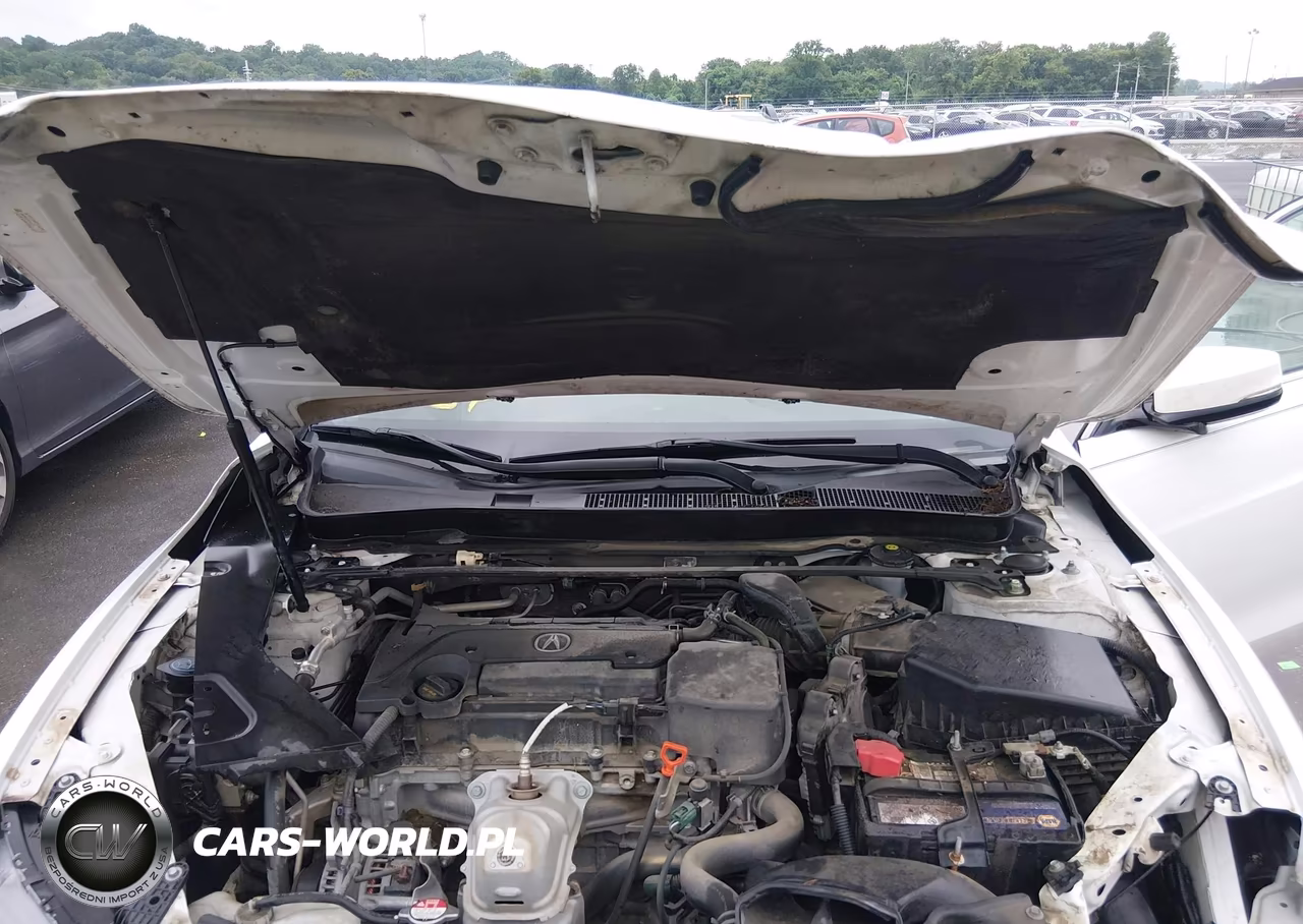2015 Acura Tlx VIN:19UUB1F3XFA014771 - 10