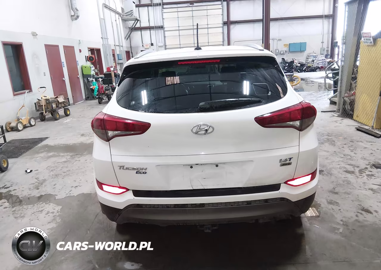 2016 Hyundai Tucson Eco VIN:KM8J3CA29GU083746 - 16