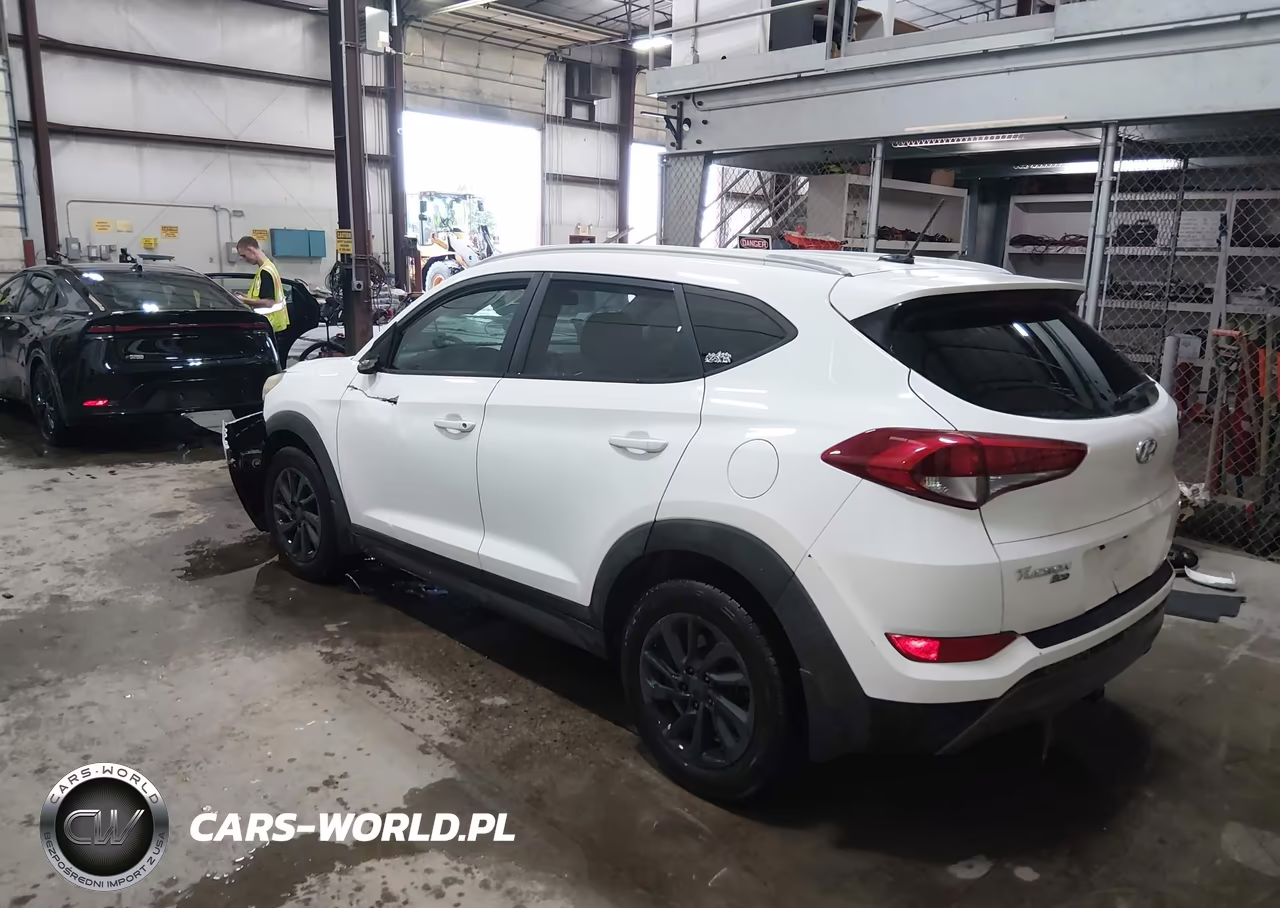 2016 Hyundai Tucson Eco VIN:KM8J3CA29GU083746 - 3
