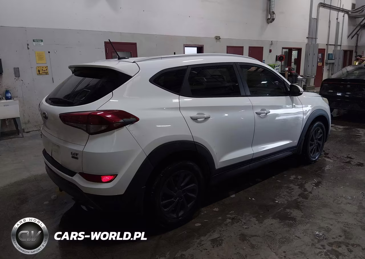 2016 Hyundai Tucson Eco VIN:KM8J3CA29GU083746 - 4