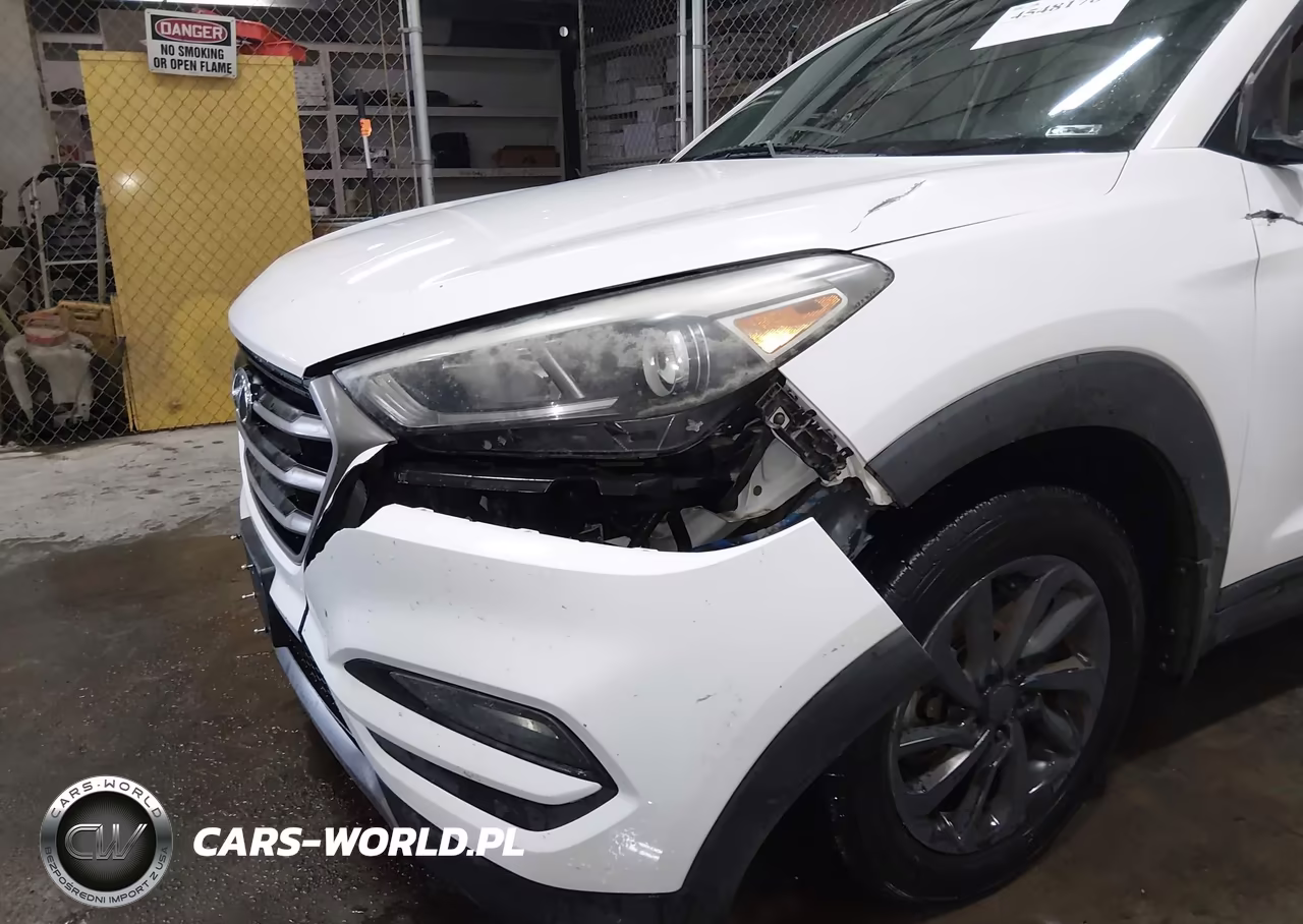 2016 Hyundai Tucson Eco VIN:KM8J3CA29GU083746 - 6