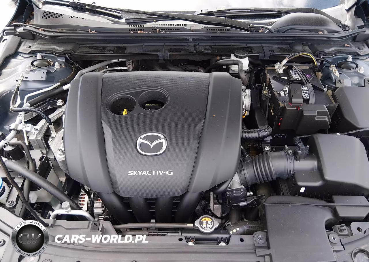 2020 Mazda 3 Premium VIN:JM1BPANM1L1167942 - 10