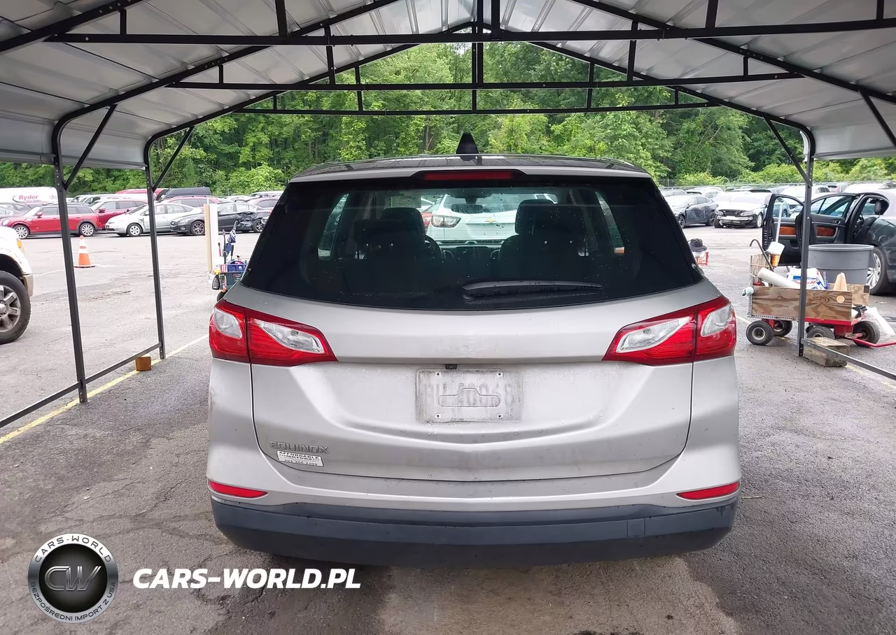 2019 Chevrolet Equinox Ls VIN:3GNAXHEV4KS645546 - 16