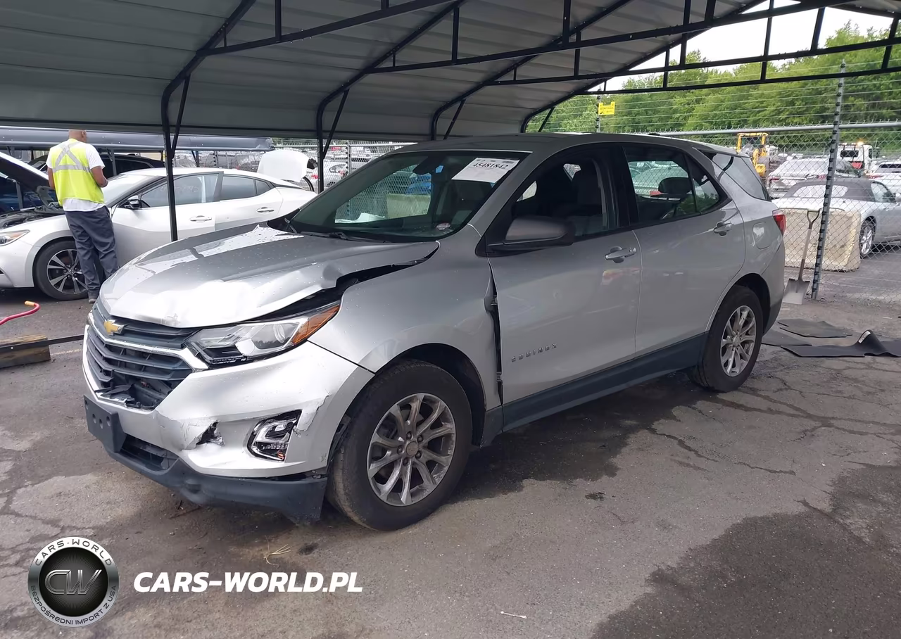 2019 Chevrolet Equinox Ls VIN:3GNAXHEV4KS645546 - 2