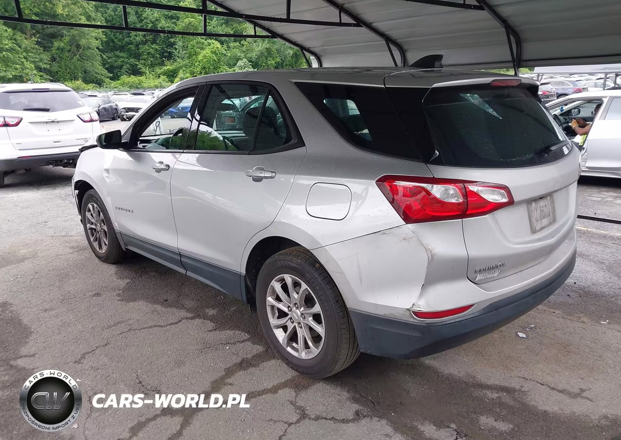 2019 Chevrolet Equinox Ls VIN:3GNAXHEV4KS645546 - 3