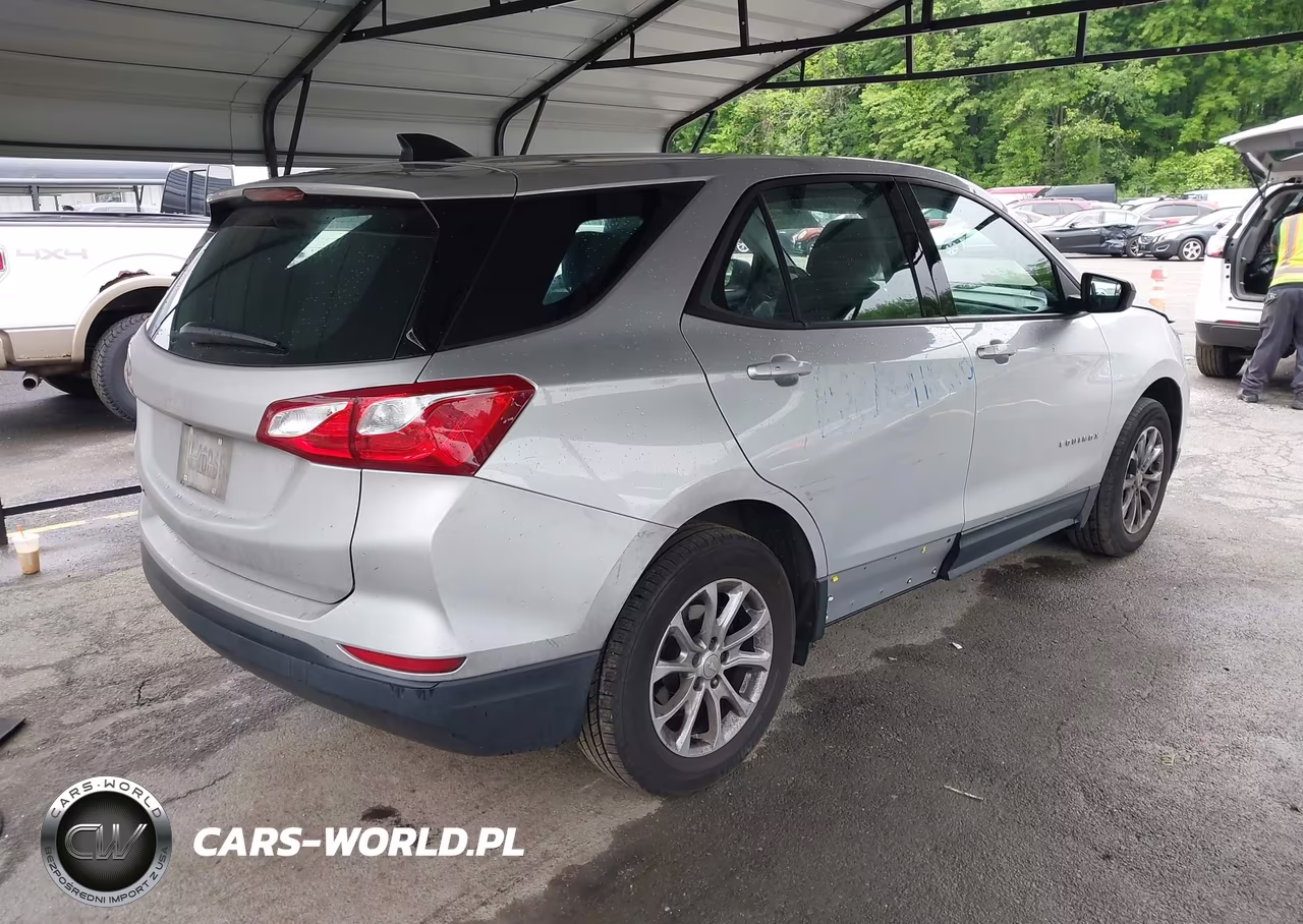 2019 Chevrolet Equinox Ls VIN:3GNAXHEV4KS645546 - 4