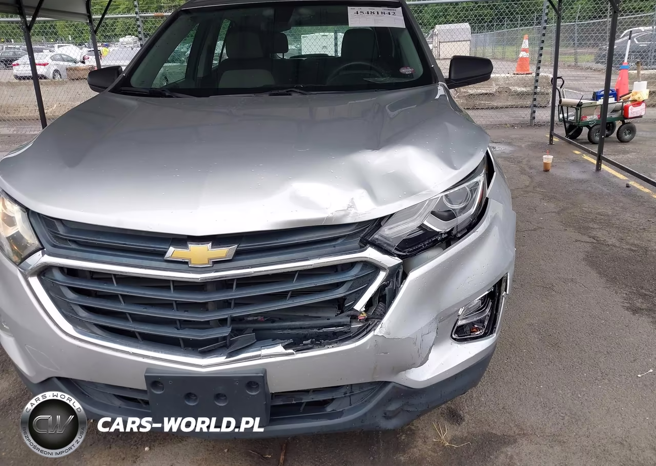 2019 Chevrolet Equinox Ls VIN:3GNAXHEV4KS645546 - 6
