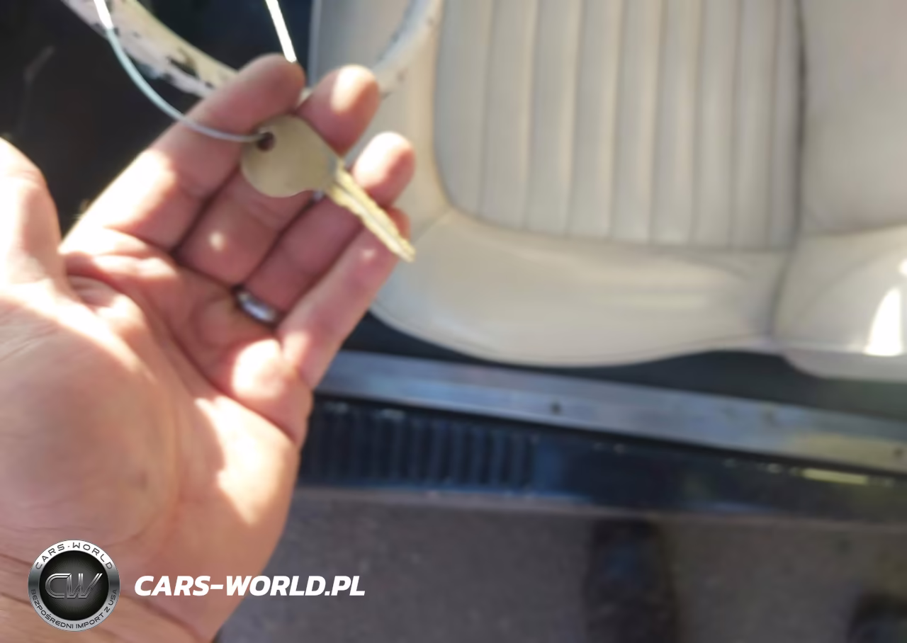 1969 Volkswagen Beetle VIN:1190492383 - 11