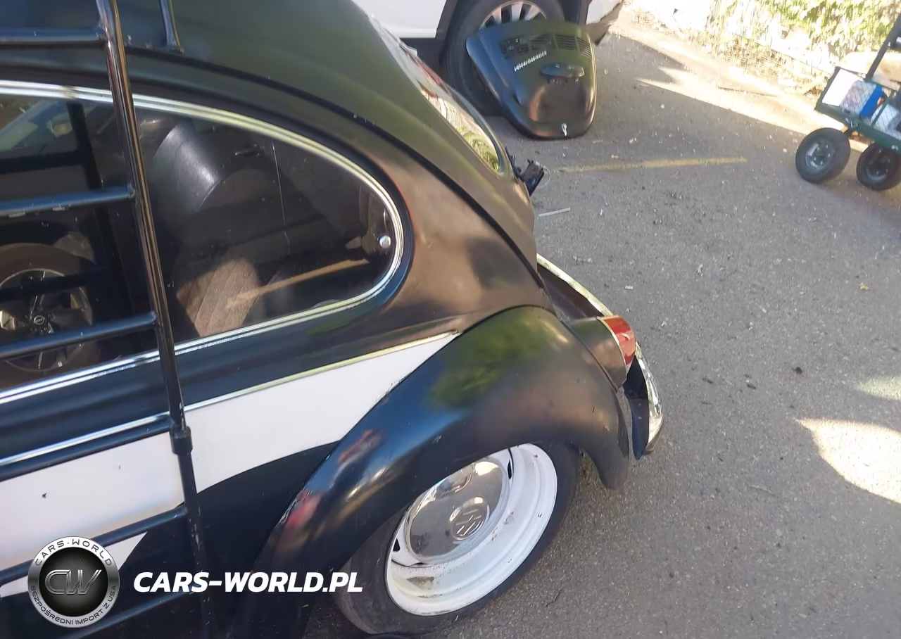 1969 Volkswagen Beetle VIN:1190492383 - 6