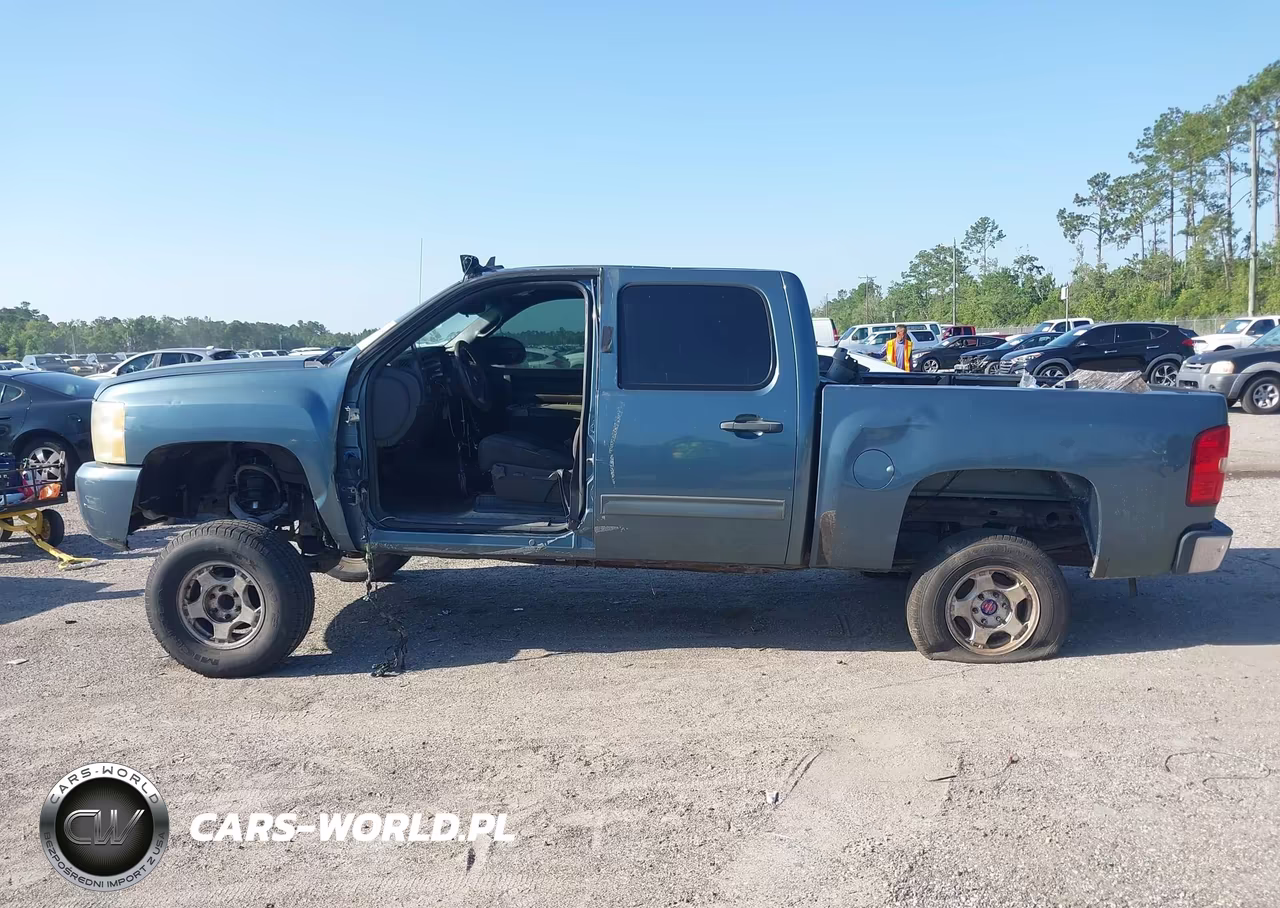 2010 Chevrolet Silverado 1500 Lt VIN:3GCRCSE06AG154602 - 14