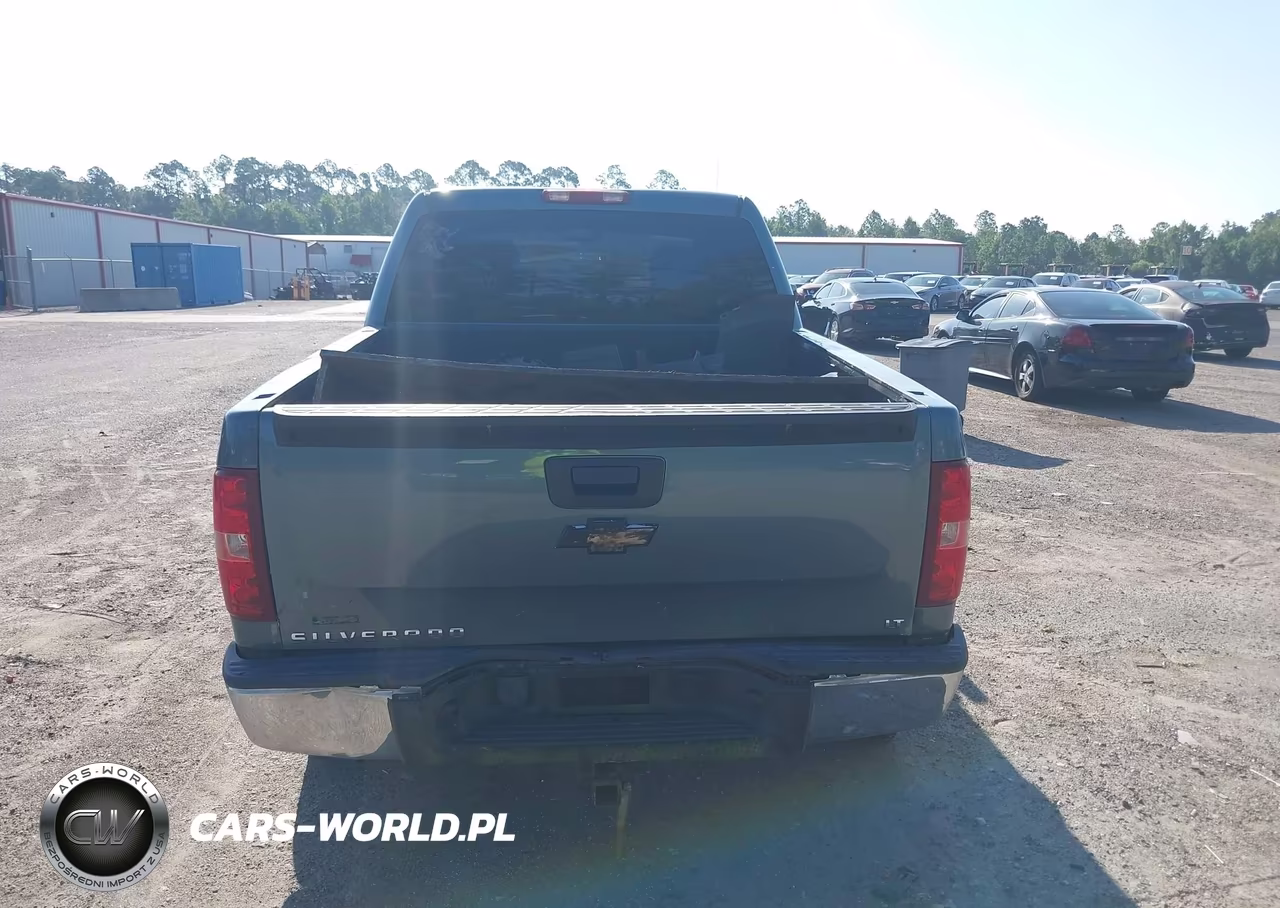2010 Chevrolet Silverado 1500 Lt VIN:3GCRCSE06AG154602 - 16