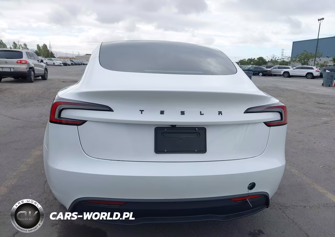 2025 Tesla Model 3 Long Range Rear-Wheel Drive-Standard Rear-Wheel Drive VIN:5YJ3E1EA6SF912738 - 16