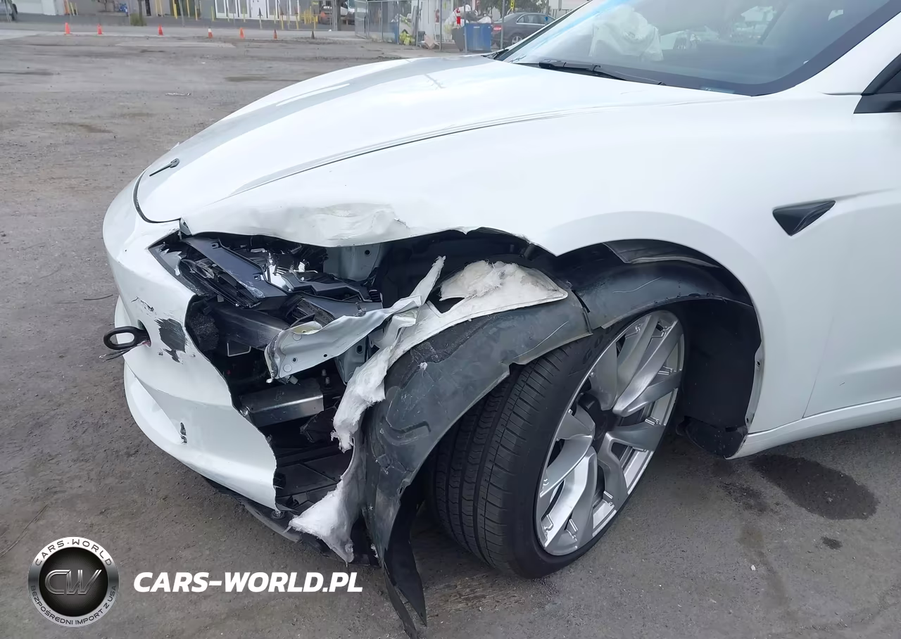 2025 Tesla Model 3 Long Range Rear-Wheel Drive-Standard Rear-Wheel Drive VIN:5YJ3E1EA6SF912738 - 6