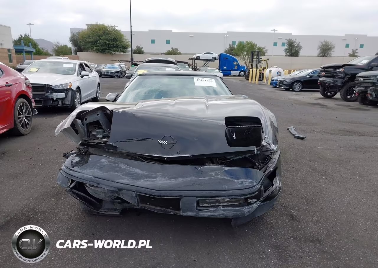 1996 Chevrolet Corvette VIN:1G1YY22P6T5106888 - 13