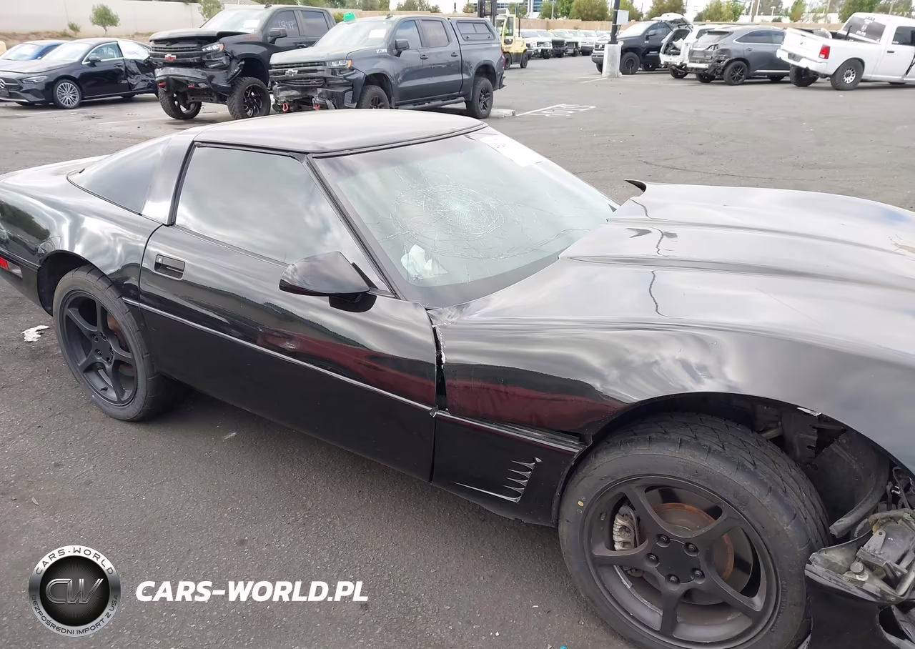 1996 Chevrolet Corvette VIN:1G1YY22P6T5106888 - 14