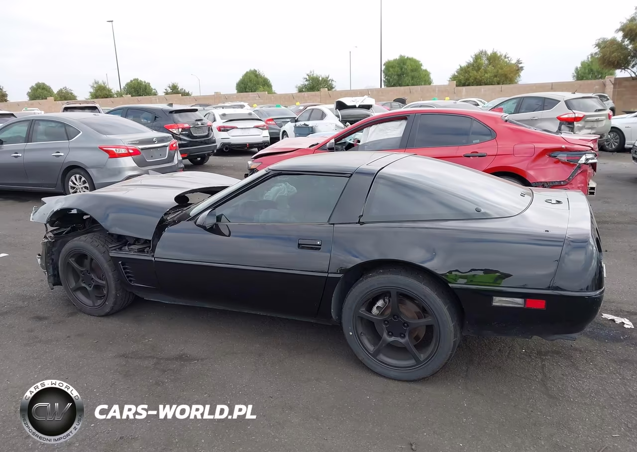 1996 Chevrolet Corvette VIN:1G1YY22P6T5106888 - 15
